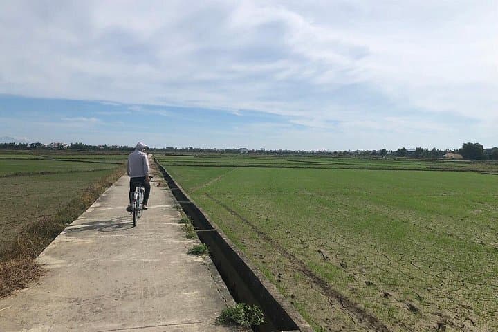 Hoi An Cultural Bike Adventure: Cycle Tra Que, Rice Fields & Basket Boats photo 2