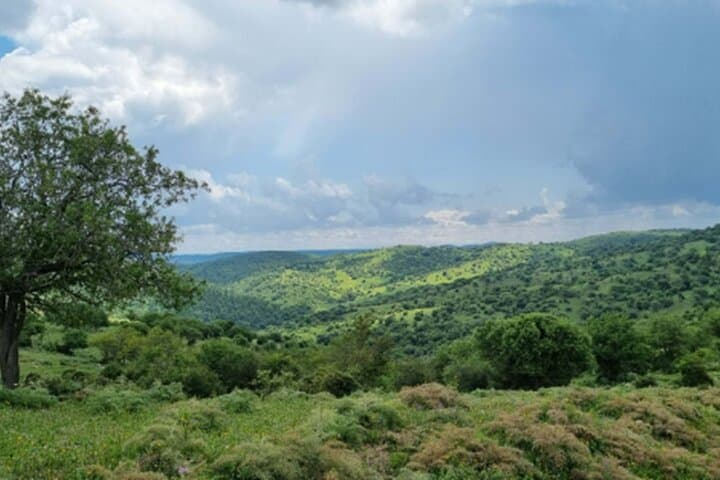 Tolfa Ferrone Ring Trek: 4‑Hour Hiking Loop in the Tolfa Mountains