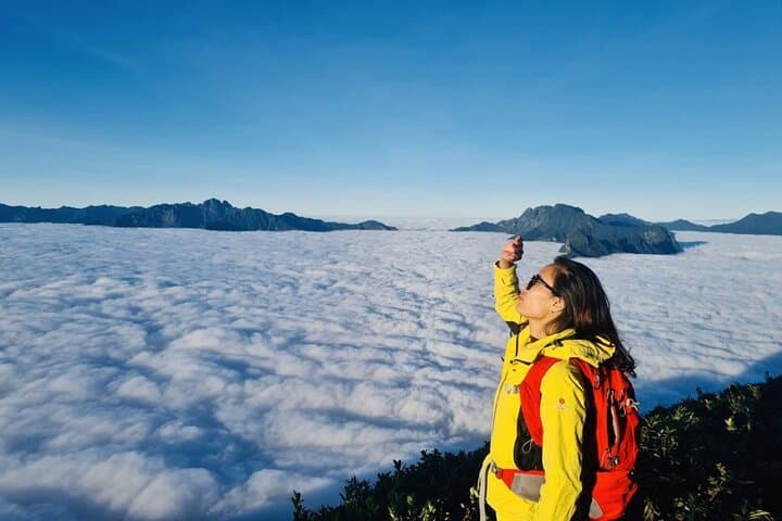 Fansipan Summit Day Hike: Full-Day Trek from Sapa to Indochina's Roof