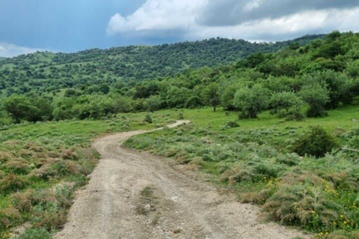 Tolfa Ferrone Ring Trek: 4‑Hour Hiking Loop in the Tolfa Mountains photo 5