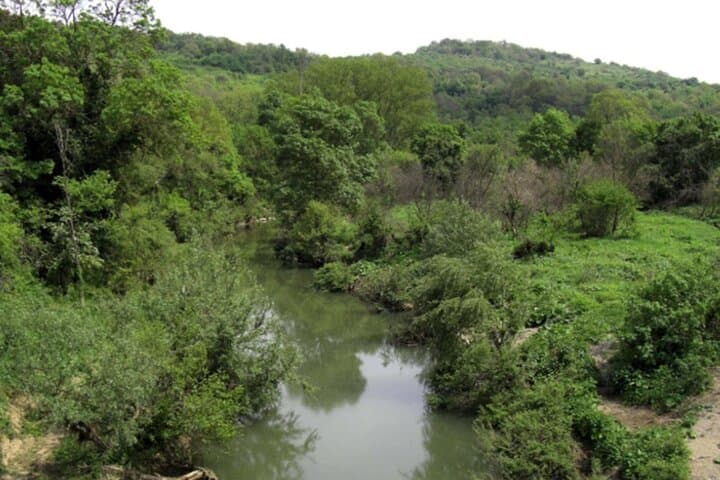 Tolfa Ferrone Ring Trek: 4‑Hour Hiking Loop in the Tolfa Mountains photo 6