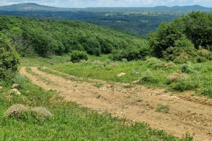 Tolfa Ferrone Ring Trek: 4‑Hour Hiking Loop in the Tolfa Mountains photo 3