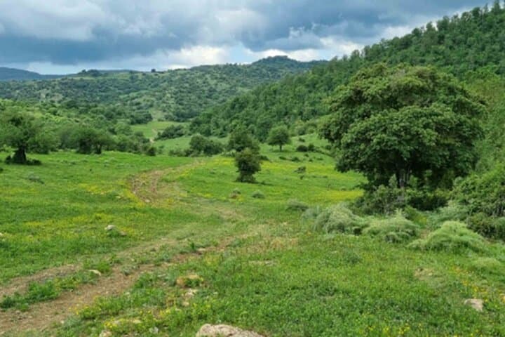 Tolfa Ferrone Ring Trek: 4‑Hour Hiking Loop in the Tolfa Mountains photo 2