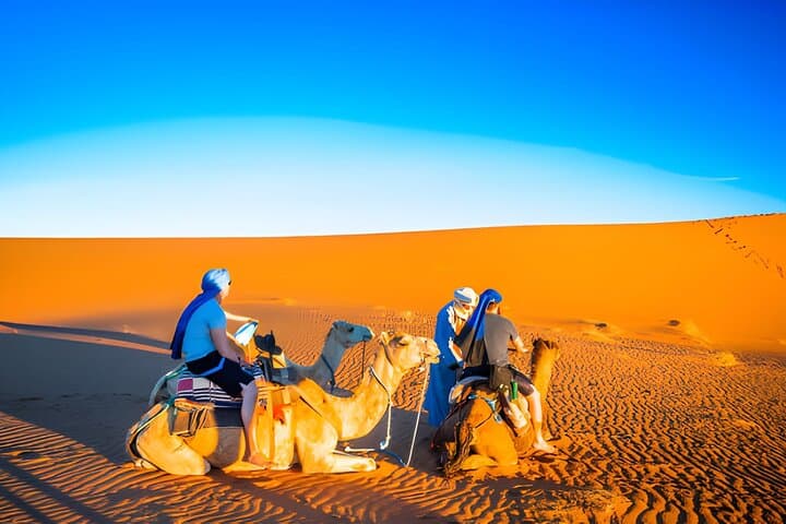 Agafay Desert Quad & Camel Evening — Marrakech Adventure with Dinner and Fire Show photo 3