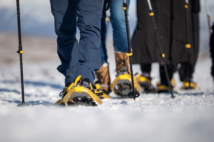 Family Snowshoe Hike from Akureyri — Arctic Snowfields & Fjord Views photo 2