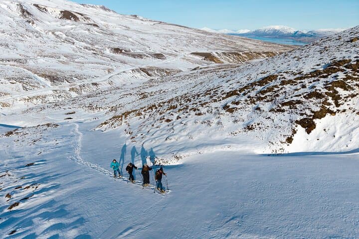 Family Snowshoe Hike from Akureyri — Arctic Snowfields & Fjord Views photo 5
