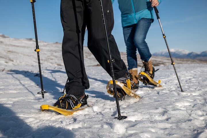 Family Snowshoe Hike from Akureyri — Arctic Snowfields & Fjord Views photo 6