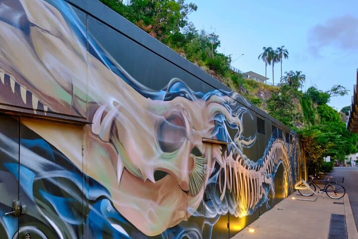 Brisbane Street Art Walking Tour: South Bank to Howard Smith Wharves photo 4