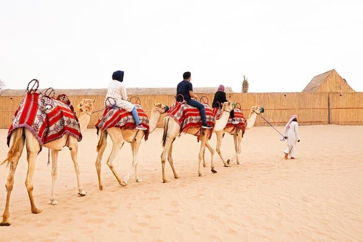 Abu Dhabi Morning Desert Safari and Camel Ride — Dune Bashing, Sandboarding & Camel Farm Visit photo 3