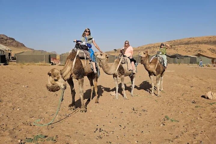 Zagora Desert 2-Day Camel Trek from Marrakech — Ait Ben Haddou & Draa Valley photo 4