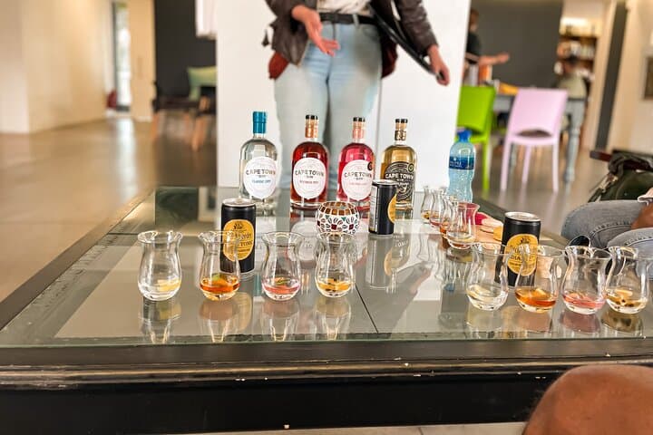 Full-Day Cape Town Craft Gin Tour: Woodstock to Deep South Distillery photo 3