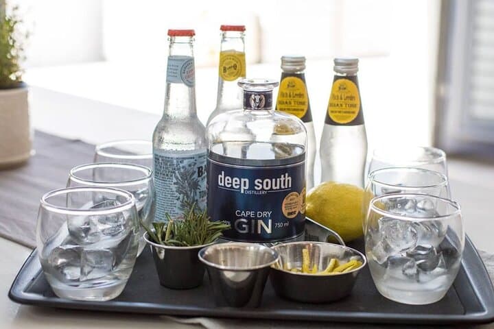 Full-Day Cape Town Craft Gin Tour: Woodstock to Deep South Distillery photo 4