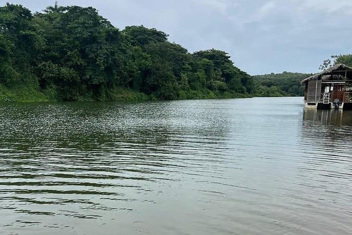 Bayahibe All-Terrain Buggy Adventure to the Chavón River and Rainforest photo 5