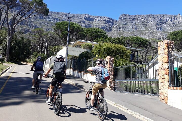 Half-Day Table Mountain e-Bike Tour: Rhodes Memorial & Deer Park Off-Road Ride photo 6