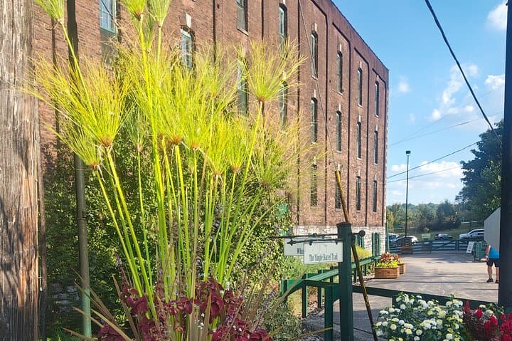 Bourbon Bites Tours: Curated Louisville Bourbon Trail Tastings photo 6