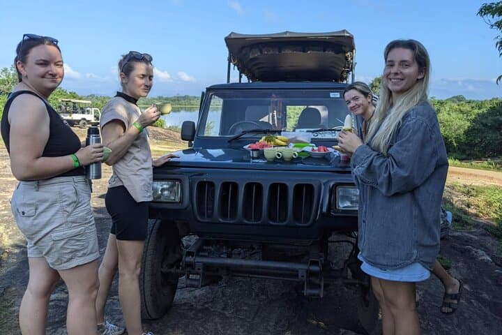 Udawalawe National Park Safari: 3-Hour to Full-Day Elephant Safaris photo 2