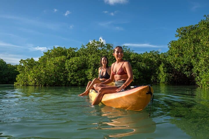 Paddle Lac Bay: 2-Hour Mangrove Kayak & Snorkel Tour in Bonaire