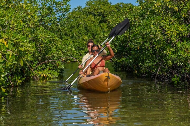 Paddle Lac Bay: 1-Hour Mangrove Kayak Tour in Bonaire photo 4