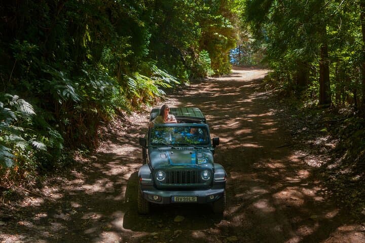 Madeira Half-Day Jeep Rubicon 4x4 Tour — Pico do Arieiro & Santo da Serra