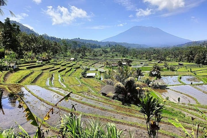 Sidemen Natya River Private Car Adventure — Rice-Field Trekking, Weaving & Riverside Relaxation in Bali photo 1
