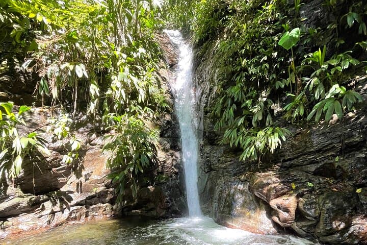 Full-Day Private Sierra Nevada Waterfalls & Viewpoints at Reserva Nevada San Martín photo 5