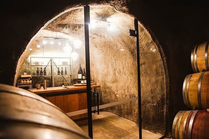 Gibbston Valley Wine Tour from Queenstown: Taste at 4 Cellar Doors with Lake Wakatipu Views