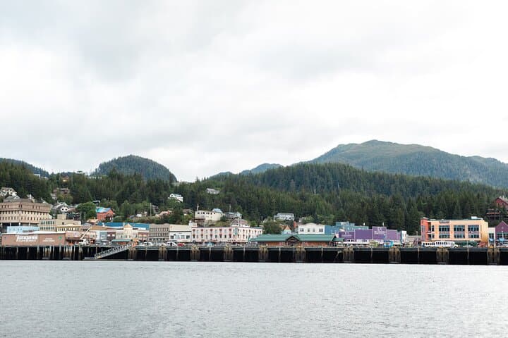 Ketchikan Waterfront & Wildlife Cruise: Exploring Alaska’s Coastal Wilderness by Sea photo 5