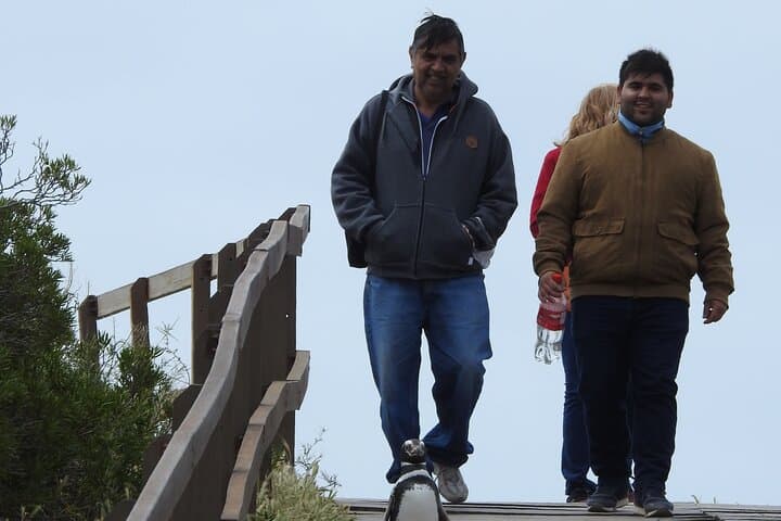 Punta Tombo Penguin Colony Shore Tour from Puerto Madryn — Walk Among Magellanic Penguins photo 4