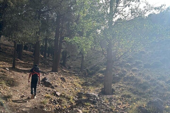 High Atlas 3-Day Trek: Valleys, Taoudja Summit & Berber Guesthouses