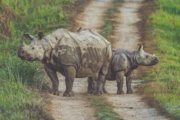 Highlights of Nepal: 10-Day Culture & Adventure Tour photo 2