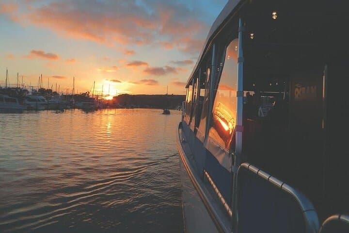 Dana Point Harbor Sunset Wine Cruise: Evening Catamaran Tasting