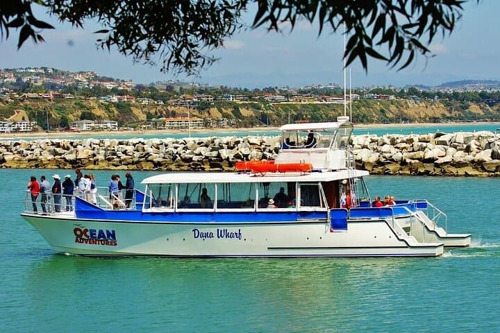 Dana Point Harbor Sunset Wine Cruise: Evening Catamaran Tasting photo 6