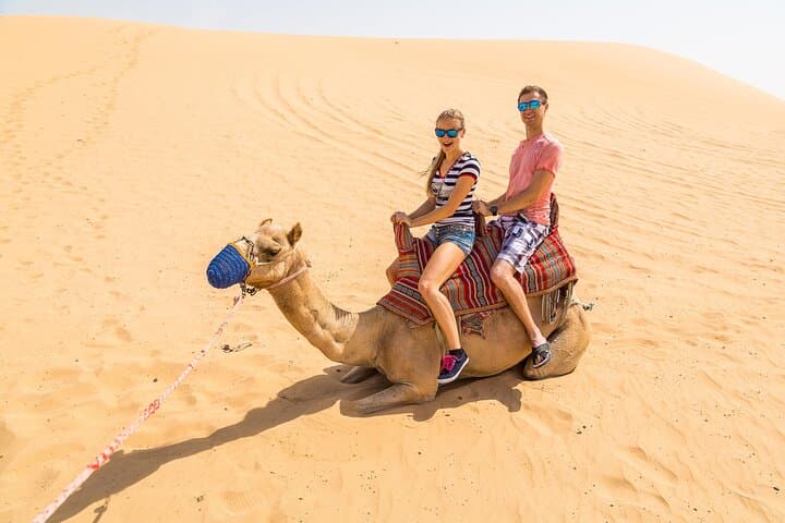Private Morning Desert Safari in Abu Dhabi: Dune Bashing, Camel Farm & Sandboarding