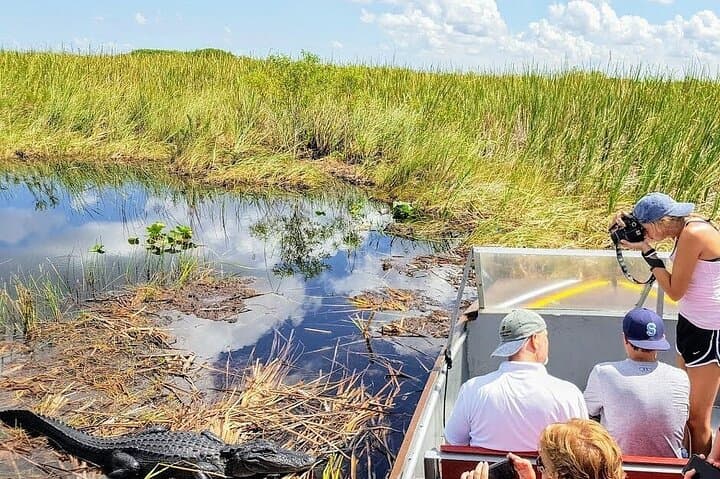Everglades Airboat Ride & Naturalist Walk — Private Tour from Miami photo 1