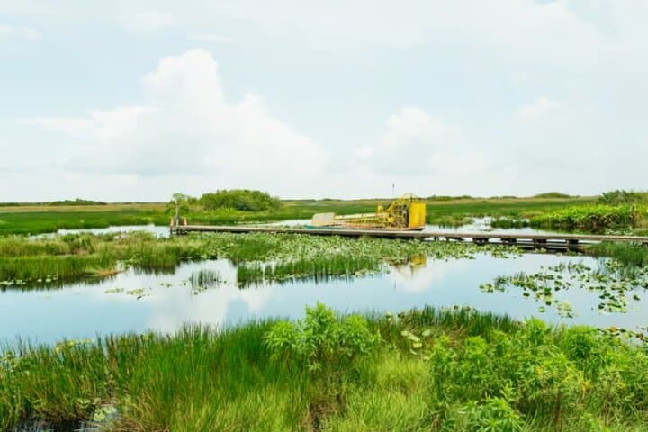 Everglades Airboat Ride & Naturalist Walk — Private Tour from Miami photo 2