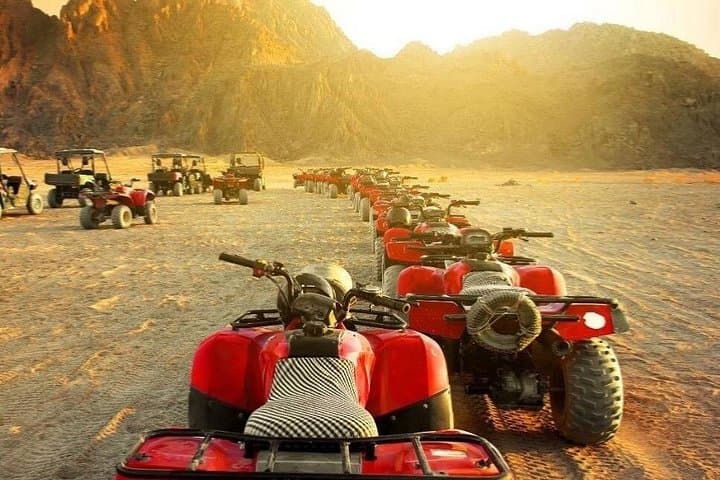 Sharm El Sheikh Desert Quad and Camel Safari — 3-Hour Dune Adventure