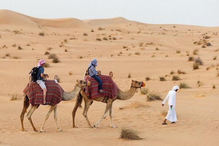 Sharm El Sheikh Desert Quad and Camel Safari — 3-Hour Dune Adventure photo 3