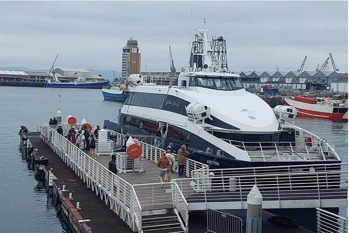 Robben Island Half-Day Tour from Cape Town: Mandela's Prison, Ferry & Museum