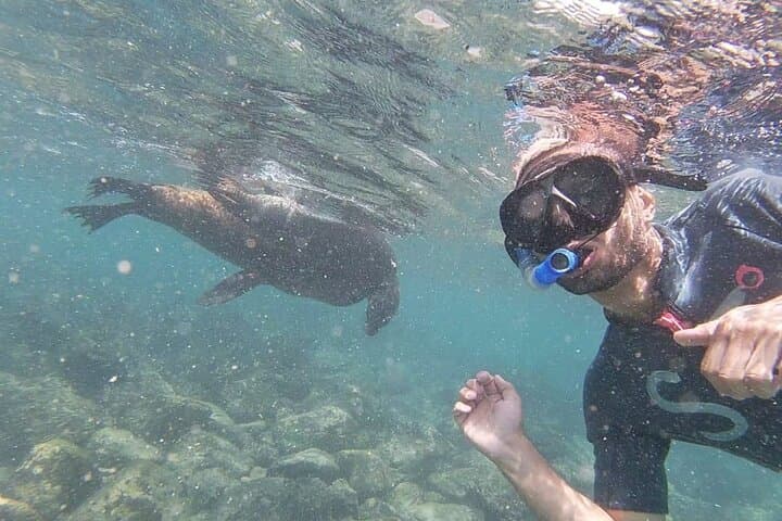 Exploring Ecuador and the Galapagos: A 10-Day Adventure Through History and Nature photo 2