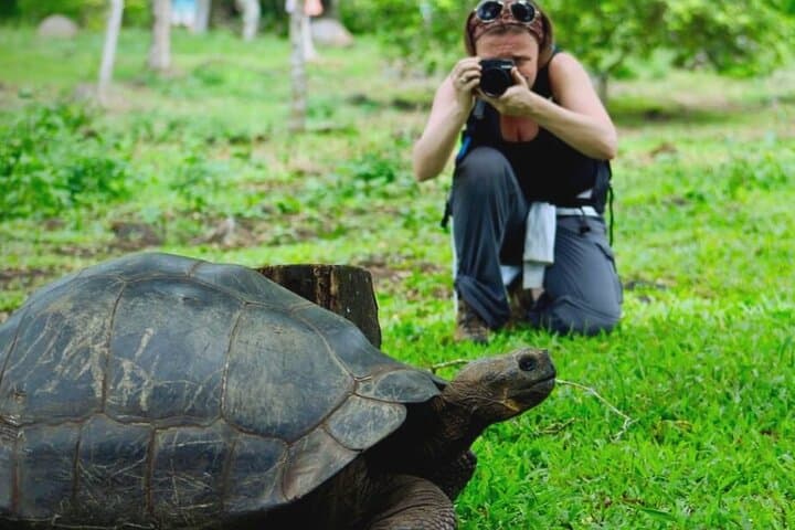 Exploring Ecuador and the Galapagos: A 10-Day Adventure Through History and Nature photo 3