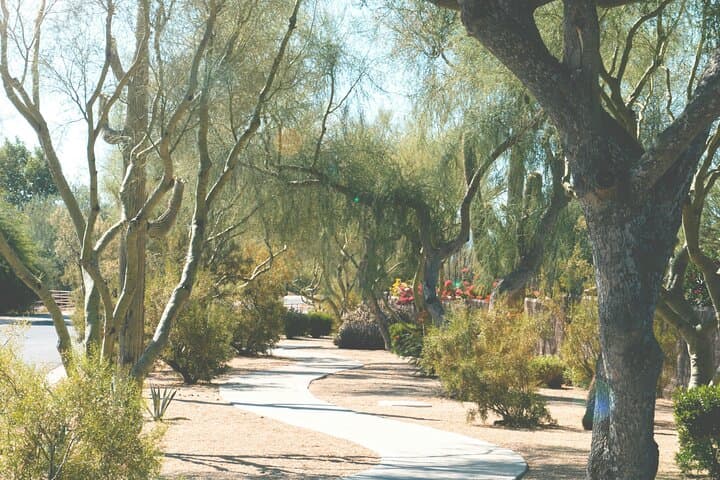 Scottsdale Art & Desert Walking Tour — Self-Guided Guide photo 4