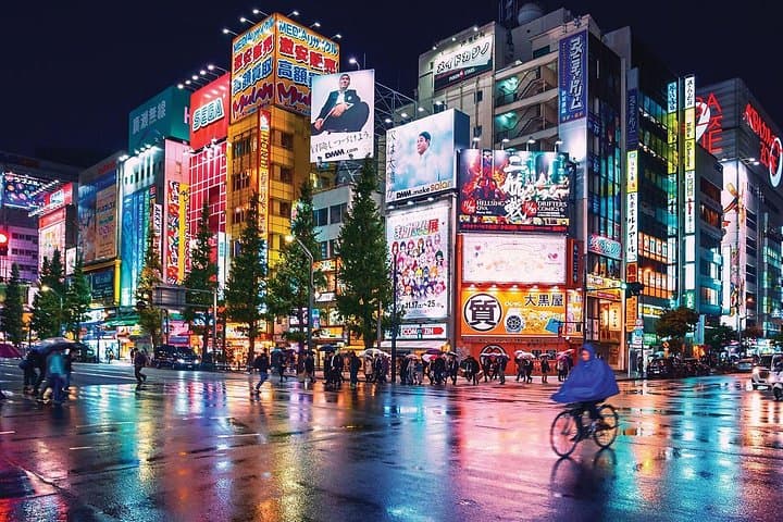 4-Day Private Tokyo, Mount Fuji, Nikko & Kamakura Tour — Customizable Japan Highlights photo 4