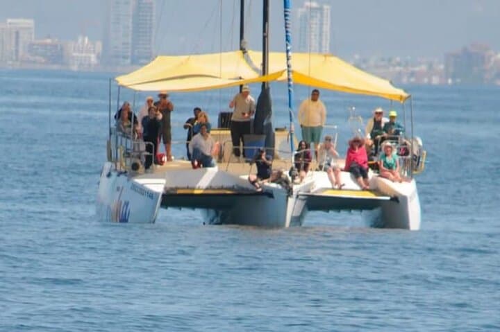 Mazatlán 4-Hour Whale-Watching Cruise — Malecón, Lighthouse & Three Islands photo 4