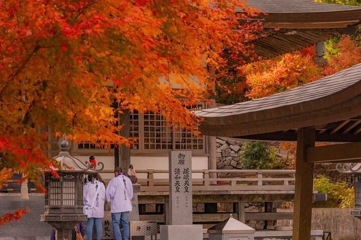 Kagawa Photogenic Journey: Ritsurin Garden, Unpenji & Chichibugahama Private Tour photo 5