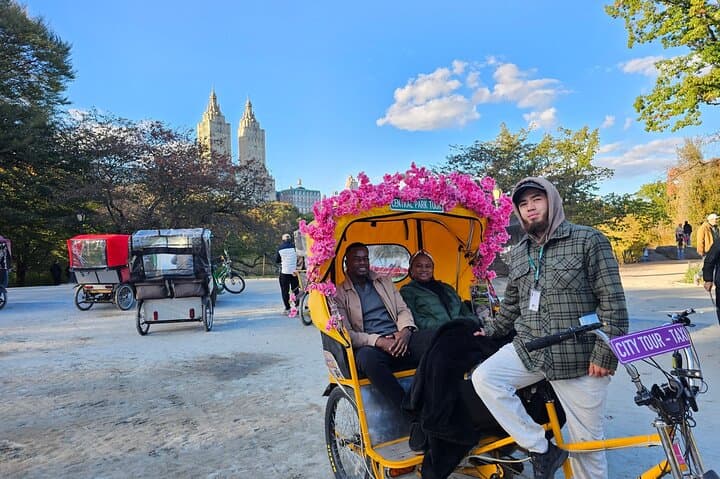 Central Park Pedicab Highlights: Private 1–2 Hour Guided Ride