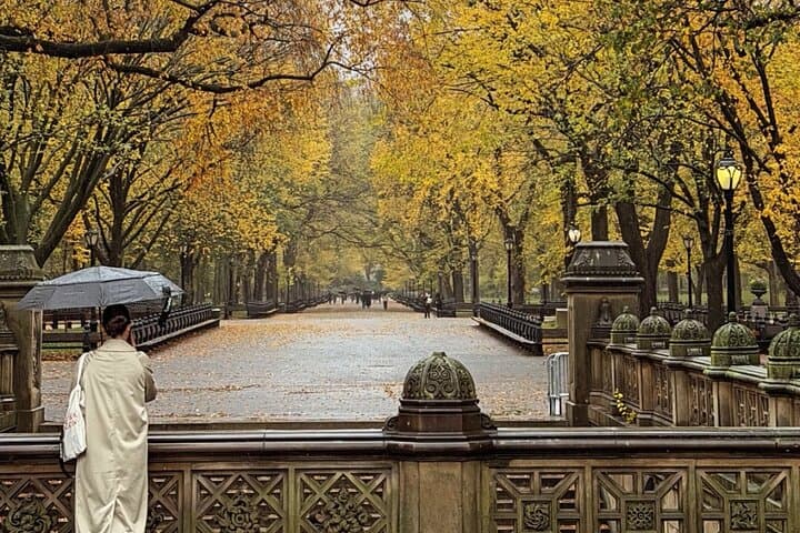 Central Park Pedicab Highlights: Private 1–2 Hour Guided Ride photo 2