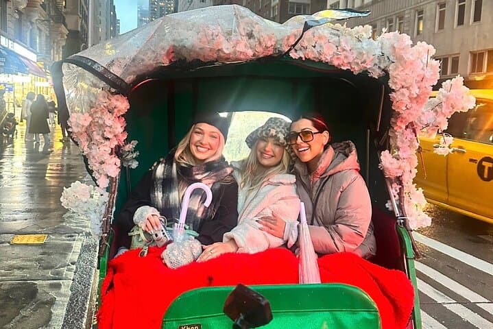 Central Park Pedicab Highlights: Private 1–2 Hour Guided Ride photo 3