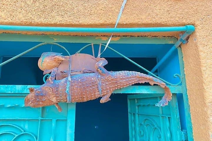 Aswan Nubian Village and Crocodile House: Sohail Boat Tour and Cultural Visit photo 3