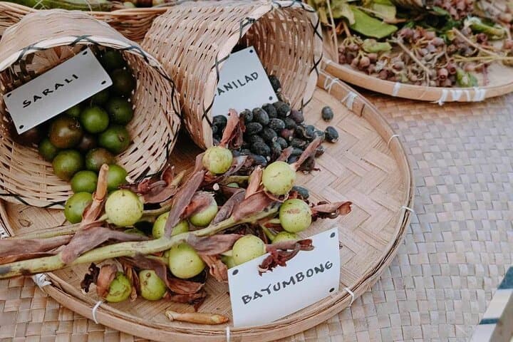 Boracay Island Foraging & Hidden Beach Culinary Experience