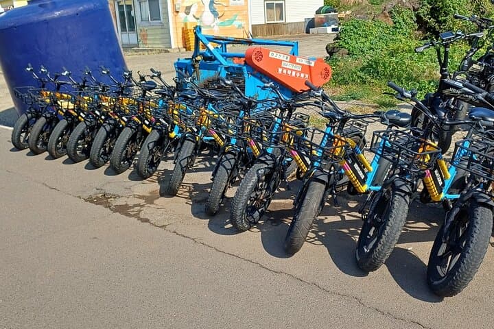 Jeju Udo Electric Bike and Seongsan Ilchulbong Private Tour — Udo Island E‑Bike and Sunrise Peak Day Trip photo 6